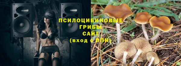 твердый Каменногорск