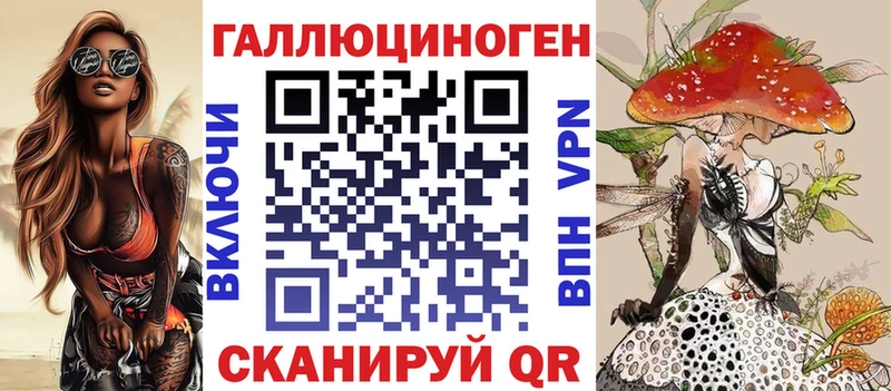 Купить  Курган  Галлюциногенные грибы Psilocybine cubensis 